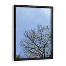 Ramas I - Bernardo Miranda | Cuadro decorativo de Canvas Lab