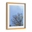 Ramas I - Bernardo Miranda | Cuadro decorativo de Canvas Lab