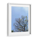 Ramas I - Bernardo Miranda | Cuadro decorativo de Canvas Lab