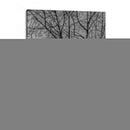 Ramas y Contrastes - Bernardo Miranda | Cuadro decorativo de Canvas Lab