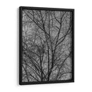 Ramas y Contrastes - Bernardo Miranda | Cuadro decorativo de Canvas Lab
