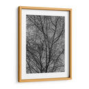 Ramas y Contrastes - Bernardo Miranda | Cuadro decorativo de Canvas Lab