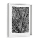 Ramas y Contrastes - Bernardo Miranda | Cuadro decorativo de Canvas Lab