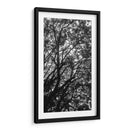 Ramas y Sombras - Bernardo Miranda | Cuadro decorativo de Canvas Lab