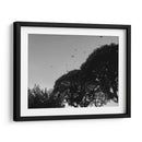 Tres Árboles - Bernardo Miranda | Cuadro decorativo de Canvas Lab