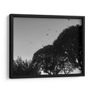 Tres Árboles - Bernardo Miranda | Cuadro decorativo de Canvas Lab