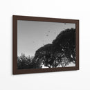 Tres Árboles - Bernardo Miranda | Cuadro decorativo de Canvas Lab