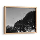 Tres Árboles - Bernardo Miranda | Cuadro decorativo de Canvas Lab