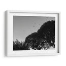 Tres Árboles - Bernardo Miranda | Cuadro decorativo de Canvas Lab