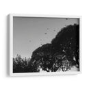 Tres Árboles - Bernardo Miranda | Cuadro decorativo de Canvas Lab