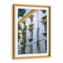 Balcones de Orizaba - Roz | Cuadro decorativo de Canvas Lab