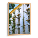 Balcones de Orizaba - Roz | Cuadro decorativo de Canvas Lab