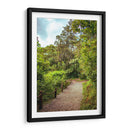 Cerro del Borrego Orizaba - Roz | Cuadro decorativo de Canvas Lab