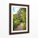 Cerro del Borrego Orizaba - Roz | Cuadro decorativo de Canvas Lab