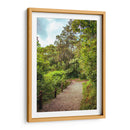 Cerro del Borrego Orizaba - Roz | Cuadro decorativo de Canvas Lab