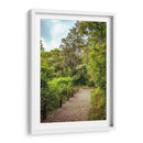 Cerro del Borrego Orizaba - Roz | Cuadro decorativo de Canvas Lab