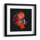 Vendetta | Cuadro decorativo de Canvas Lab