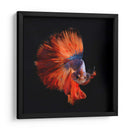 Vendetta | Cuadro decorativo de Canvas Lab