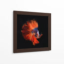 Vendetta | Cuadro decorativo de Canvas Lab