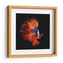 Vendetta | Cuadro decorativo de Canvas Lab