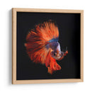 Vendetta | Cuadro decorativo de Canvas Lab