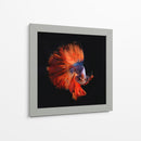 Vendetta | Cuadro decorativo de Canvas Lab