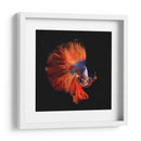 Vendetta | Cuadro decorativo de Canvas Lab