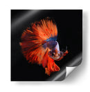 Vendetta | Cuadro decorativo de Canvas Lab