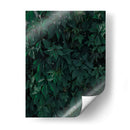 MINT - SoupierVaro | Cuadro decorativo de Canvas Lab