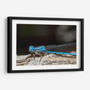 Minimundus01 - Jiván | Cuadro decorativo de Canvas Lab