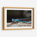 Minimundus01 - Jiván | Cuadro decorativo de Canvas Lab