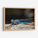 Minimundus01 - Jiván | Cuadro decorativo de Canvas Lab