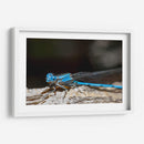 Minimundus01 - Jiván | Cuadro decorativo de Canvas Lab