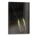 Minimundus02 - Jiván | Cuadro decorativo de Canvas Lab