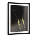 Minimundus02 - Jiván | Cuadro decorativo de Canvas Lab