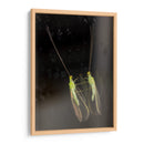 Minimundus02 - Jiván | Cuadro decorativo de Canvas Lab