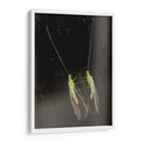 Minimundus02 - Jiván | Cuadro decorativo de Canvas Lab