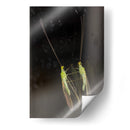 Minimundus02 - Jiván | Cuadro decorativo de Canvas Lab