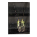 Minimundus03 - Jiván | Cuadro decorativo de Canvas Lab