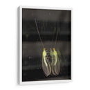 Minimundus03 - Jiván | Cuadro decorativo de Canvas Lab