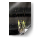 Minimundus03 - Jiván | Cuadro decorativo de Canvas Lab