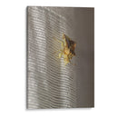 Minimundus04 - Jiván | Cuadro decorativo de Canvas Lab