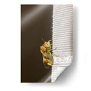 Minimundus05 - Jiván | Cuadro decorativo de Canvas Lab