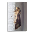 Minimundus06 - Jiván | Cuadro decorativo de Canvas Lab