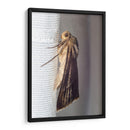 Minimundus06 - Jiván | Cuadro decorativo de Canvas Lab