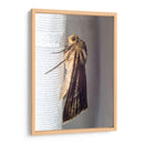 Minimundus06 - Jiván | Cuadro decorativo de Canvas Lab