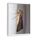 Minimundus06 - Jiván | Cuadro decorativo de Canvas Lab