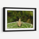 Minimundus07 - Jiván | Cuadro decorativo de Canvas Lab