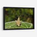 Minimundus07 - Jiván | Cuadro decorativo de Canvas Lab