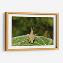 Minimundus07 - Jiván | Cuadro decorativo de Canvas Lab